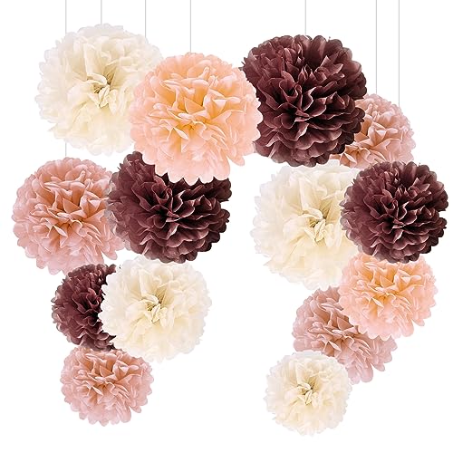 Pompons Deko, 20 Stück Seidenpapier Pompoms Deko Hochzeitsdeko Vintage Lampions für Geburtstag taufe deko Party Valentinstag (Beige Pfirsich Lotusfarbe Fuchsie) von SXCCNW