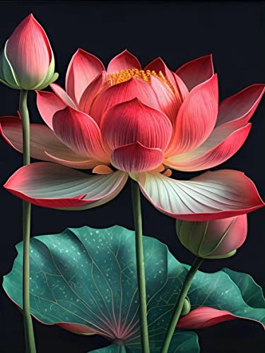 SXCCNW 5D Diamant Malerei Kits für Erwachsene, DIY Cross Stickerei Malerei Arts, Full Drill Diamond Painting Bilder Malen Nach Zahlen für Home Wall Décor 30x40 cm Schöner Lotos SXCCNW 5D Diamant Malerei Kits für Erwachsene, DIY Cross Stickerei Malerei Arts, Full Drill Diamond Painting Bilder Malen Nach Zahlen für Home Wall Décor 30x40 cm Schöner Lotos von SXCCNW