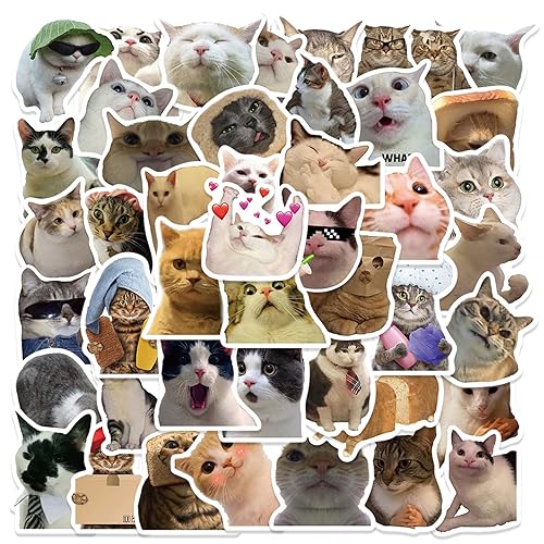 50 Stück Katzen Sticker, Cat Meme Aufkleber für Laptop Wasserfeste Aufkleber ästhetische Stickers, Lustiges Katzen Aufkleber Set Süße Katzen Sticker für Wasserflasche, Gitarre, Koffer, Skate, Notebook von SYQZMYA