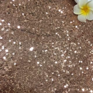 SYSUII 135cm * 2m Paillettenstoff Sparkly Stoff glitzernder Stoff Dekostoff Kostümstoff zum Nähen Stoff Tüll Pailletten-Stoff für Hochzeit Kleid Dekoration DIY Tisch Tutu Rock Party Deko - Hellbraun SYSUII 135cm * 2m Paillettenstoff Sparkly Stoff glitzernder Stoff Dekostoff Kostümstoff zum Nähen Stoff Tüll Pailletten-Stoff für Hochzeit Kleid Dekoration DIY Tisch Tutu Rock Party Deko - Hellbraun von SYSUII