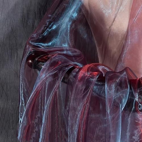 SYSUII 150cm*3m Organzastoff Glitzer Dekostoff zum Nähen Sparkly glitzernder Stoff Kostümstoff zum Nähen für Hochzeit Kleid Dekoration DIY Tisch Tutu Rock Party Deko Geschenk Bogen- Blau Rot SYSUII 150cm*3m Organzastoff Glitzer Dekostoff zum Nähen Sparkly glitzernder Stoff Kostümstoff zum Nähen für Hochzeit Kleid Dekoration DIY Tisch Tutu Rock Party Deko Geschenk Bogen- Blau Rot von SYSUII