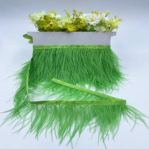 SYSUII 1M 8–10 cm Straußenfedern Borte Fransen mit Satinband,Straußenfedern Borte Feder Fringe Trim Nähen für Straußenfeder Handwerk Kostüme Dekoration DIY Cape Schal Rock Kleid Dekoration-Grün#3 SYSUII 1M 8–10 cm Straußenfedern Borte Fransen mit Satinband,Straußenfedern Borte Feder Fringe Trim Nähen für Straußenfeder Handwerk Kostüme Dekoration DIY Cape Schal Rock Kleid Dekoration-Grün#3 von SYSUII
