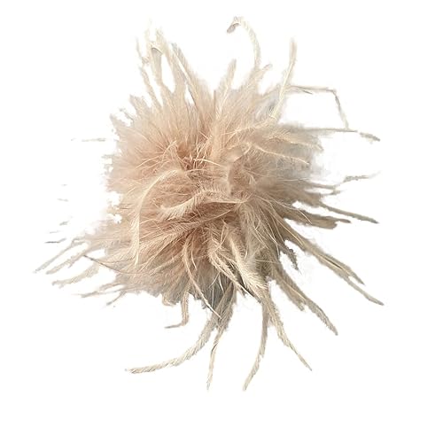 SYSUII Damen Federbrosche,Natürliche Straußenfeder Ansteckbrosche Feder Brosche Pins Kleid Zubehör Fascinators Kostüme Dekor Kopfbedeckung für Frauen Mädchen Geburtstag Hochzeit Party-Kamel SYSUII Damen Federbrosche,Natürliche Straußenfeder Ansteckbrosche Feder Brosche Pins Kleid Zubehör Fascinators Kostüme Dekor Kopfbedeckung für Frauen Mädchen Geburtstag Hochzeit Party-Kamel von SYSUII