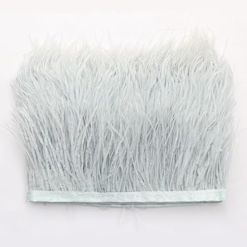 SYSUII Straußenfedern Federn Fringe Trim, 1m 8-10cm Natürlichen Feder Fransen Quaste Fransenborte Fransenband für DIY Kleid Nähen Handwerk Kostüme Dekoration Halloween Federband Bastelzubehör -grau#3 SYSUII Straußenfedern Federn Fringe Trim, 1m 8-10cm Natürlichen Feder Fransen Quaste Fransenborte Fransenband für DIY Kleid Nähen Handwerk Kostüme Dekoration Halloween Federband Bastelzubehör -grau#3 von SYSUII
