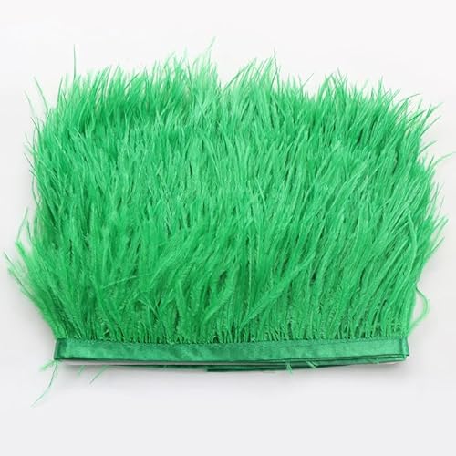 SYSUII Straußenfedern Federn Fringe Trim, 1m 8-10cm Natürlichen Feder Fransen Quaste Fransenborte Fransenband für DIY Kleid Nähen Handwerk Kostüme Dekoration Halloween Federband Bastelzubehör -Grün#2 von SYSUII
