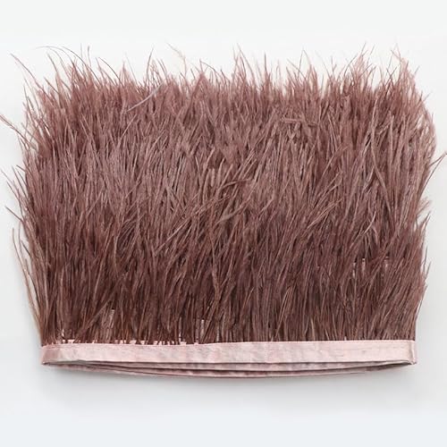 Straußenfedern Federn Fringe Trim, 1m 8-10cm Natürlichen Feder Fransen Quaste Fransenborte Fransenband für DIY Kleid Nähen Handwerk Kostüme Dekoration Halloween Federband Bastelzubehör -dunkelbraun Straußenfedern Federn Fringe Trim, 1m 8-10cm Natürlichen Feder Fransen Quaste Fransenborte Fransenband für DIY Kleid Nähen Handwerk Kostüme Dekoration Halloween Federband Bastelzubehör -dunkelbraun von SYSUII