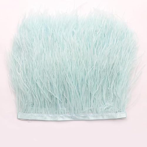 Straußenfedern Federn Fringe Trim, 1m 8-10cm Natürlichen Feder Fransen Quaste Fransenborte Fransenband für DIY Kleid Nähen Handwerk Kostüme Dekoration Halloween Federband Bastelzubehör -Grün #4 Straußenfedern Federn Fringe Trim, 1m 8-10cm Natürlichen Feder Fransen Quaste Fransenborte Fransenband für DIY Kleid Nähen Handwerk Kostüme Dekoration Halloween Federband Bastelzubehör -Grün #4 von SYSUII