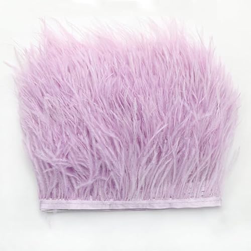 Straußenfedern Federn Fringe Trim, 1m 8-10cm Natürlichen Feder Fransen Quaste Fransenborte Fransenband für DIY Kleid Nähen Handwerk Kostüme Dekoration Halloween Federband Bastelzubehör -Helles Lila Straußenfedern Federn Fringe Trim, 1m 8-10cm Natürlichen Feder Fransen Quaste Fransenborte Fransenband für DIY Kleid Nähen Handwerk Kostüme Dekoration Halloween Federband Bastelzubehör -Helles Lila von SYSUII