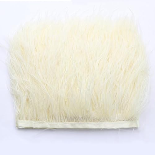 Straußenfedern Federn Fringe Trim, 1m 8-10cm Natürlichen Feder Fransen Quaste Fransenborte Fransenband für DIY Kleid Nähen Handwerk Kostüme Dekoration Halloween Federband Bastelzubehör -beige#1 Straußenfedern Federn Fringe Trim, 1m 8-10cm Natürlichen Feder Fransen Quaste Fransenborte Fransenband für DIY Kleid Nähen Handwerk Kostüme Dekoration Halloween Federband Bastelzubehör -beige#1 von SYSUII