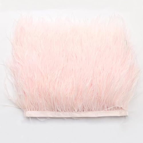 Straußenfedern Federn Fringe Trim, 1m 8-10cm Natürlichen Feder Fransen Quaste Fransenborte Fransenband für DIY Kleid Nähen Handwerk Kostüme Dekoration Halloween Federband Bastelzubehör -rosa #2 Straußenfedern Federn Fringe Trim, 1m 8-10cm Natürlichen Feder Fransen Quaste Fransenborte Fransenband für DIY Kleid Nähen Handwerk Kostüme Dekoration Halloween Federband Bastelzubehör -rosa #2 von SYSUII