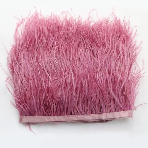 SYSUII Straußenfedern Federn Fringe Trim, 1m 8-10cm Natürlichen Feder Fransen Quaste Fransenborte Fransenband für DIY Kleid Nähen Handwerk Kostüme Dekoration Halloween Federband Bastelzubehör -Rose SYSUII Straußenfedern Federn Fringe Trim, 1m 8-10cm Natürlichen Feder Fransen Quaste Fransenborte Fransenband für DIY Kleid Nähen Handwerk Kostüme Dekoration Halloween Federband Bastelzubehör -Rose von SYSUII