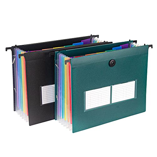 Hänge-Aktenordner-Set, Briefgröße, 2 Stück, 14 Taschen, Kunststoff, einziehbare Haken, Dateien, erweiterbare Ordner, wasserdicht, für Akkordeon-Dateien, Organizer, Füllschrank (Schwarz/Grün) von Saderoy