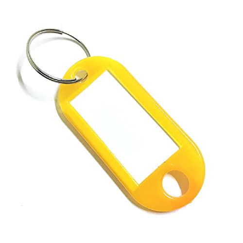 100 Stück Schlüsselanhänger, Beschriftbar Schlüsselschilder Schlüsselbund Etiketten Schlüsseletiketten für Zuhause Büros Pet ID Koffer, 10 Farben von SagaSave