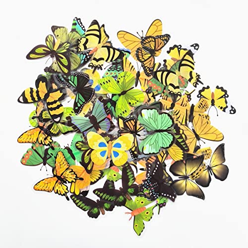 SamHeng 80 Stück Schmetterlings Aufkleber, 40 Stile Selbstklebend Transparent Schmetterlinge Exemplare Scrapbooking Sticker Dekorative Abziehbilder zum DIY Handwerk Tagebuch Album (Gelb/Grün) von SamHeng