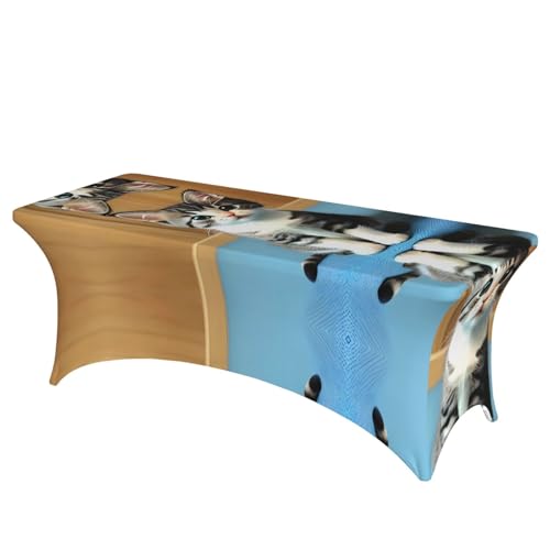 SamLng Rechteckige Tischdecke für Hochzeiten und Partys, dehnbar, langlebig, für Terrasse, Bankett, mit Kätzchen, für Schlafzimmer und Kätzchen SamLng Rechteckige Tischdecke für Hochzeiten und Partys, dehnbar, langlebig, für Terrasse, Bankett, mit Kätzchen, für Schlafzimmer und Kätzchen von SamLng