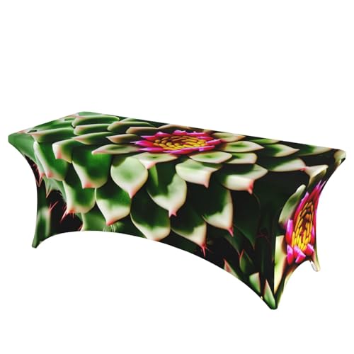 SamLng Rechteckige Tischdecke mit Kaktusblumen-Druck, abwischbar, dehnbar, langlebig und stilvoll, Tischdecke für den Innen- und Außenbereich SamLng Rechteckige Tischdecke mit Kaktusblumen-Druck, abwischbar, dehnbar, langlebig und stilvoll, Tischdecke für den Innen- und Außenbereich von SamLng