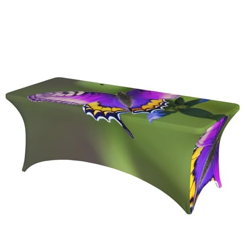 SamLng Rechteckige Tischdecke mit violettem Schmetterlingsmuster, abwischbar, dehnbar, langlebig und stilvoll, Tischdecke für den Innen- und Außenbereich SamLng Rechteckige Tischdecke mit violettem Schmetterlingsmuster, abwischbar, dehnbar, langlebig und stilvoll, Tischdecke für den Innen- und Außenbereich von SamLng