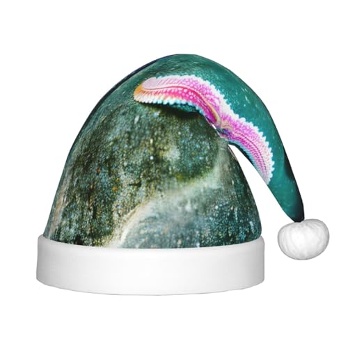SamLng Weihnachtsmütze mit Seestern – warmer Urlaubsmütze, perfekt für Weihnachten, Neujahrsparty, Festival – idealer Kopfschmuck für Kinder von 4–12 Jahren SamLng Weihnachtsmütze mit Seestern – warmer Urlaubsmütze, perfekt für Weihnachten, Neujahrsparty, Festival – idealer Kopfschmuck für Kinder von 4–12 Jahren von SamLng
