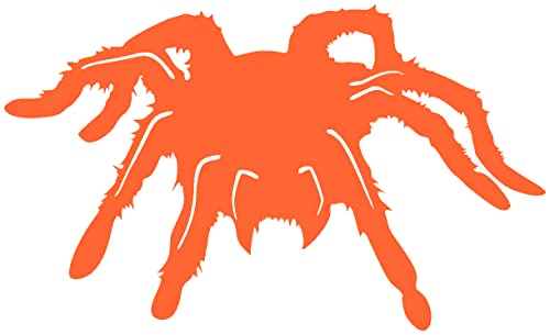 Samunshi® Vogelspinnen Aufkleber Vogelspinnenaufkleber Sticker 15 x 9cm orange von Samunshi