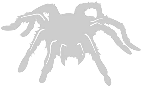 Samunshi® Vogelspinnen Aufkleber Vogelspinnenaufkleber Sticker 8 x 4,8cm silbermetalleffekt von Samunshi