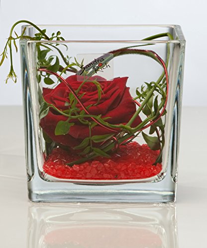 Sandra Rich 12x sandrarich-dadocristal12 X 12 (7021012) E.6 von Sandra Rich