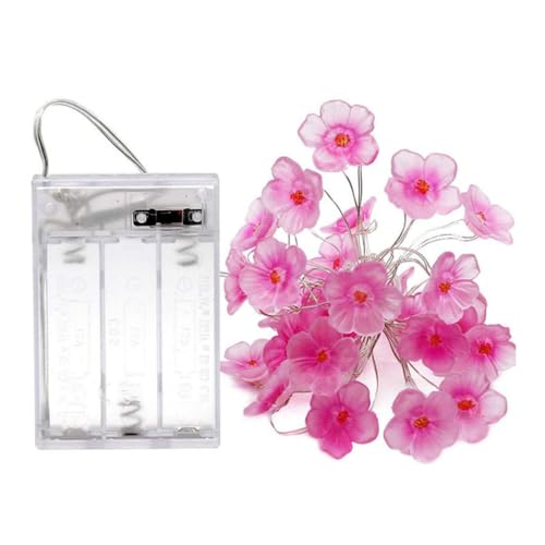 Sanfiyya Kirschblütenrebelichter, Feen -Rosa -nhalle Lichter, 10 Fuß 30 LEDs USB und batteriebetriebene Dekoration für Mädchen Schlafzimmer im Innenbereich im Freien Freien und zum Valentinstag Tag Sanfiyya Kirschblütenrebelichter, Feen -Rosa -nhalle Lichter, 10 Fuß 30 LEDs USB und batteriebetriebene Dekoration für Mädchen Schlafzimmer im Innenbereich im Freien Freien und zum Valentinstag Tag von Sanfiyya