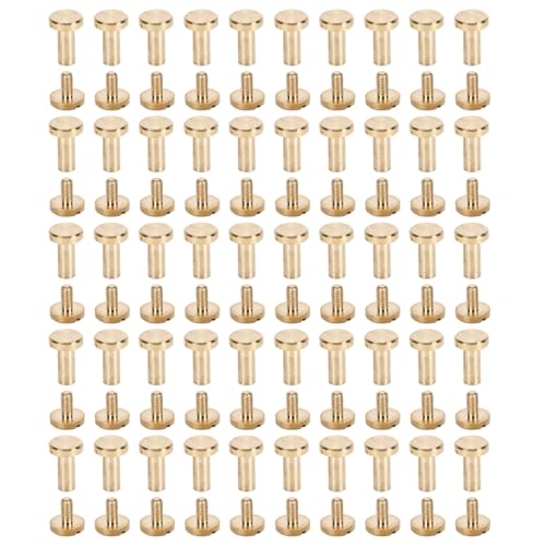 Für Messing, für dekorative Nieten und Slot -Flachkopfschrauben Set, 50 Prozent, für DIY -Lederhandwerk und Buchbinding (10 mm / 0,39 Zoll) von Sangeponiang