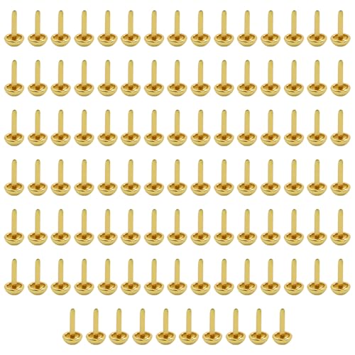 Sarini 100 Stück Mini-Brads,Musterklammern,Metall,Papierverschlüsse,Sperrholz,runde Endklammern für Schule,Büro,Scrapbooking,Papier,Briefklammern,Basteln Sarini 100 Stück Mini-Brads,Musterklammern,Metall,Papierverschlüsse,Sperrholz,runde Endklammern für Schule,Büro,Scrapbooking,Papier,Briefklammern,Basteln von Sarini