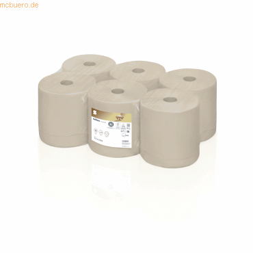 Satino Handtuchrolle PureSoft 314300 2lg 179m beige 6 Rollen von Satino