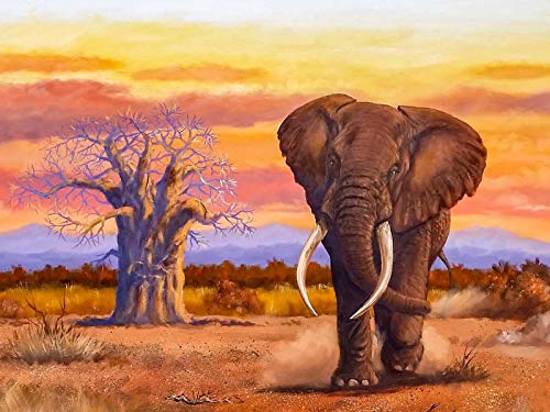 Showker 5D Diamant Painting BilderElefanten bei Sonnenuntergang Tiere, DIY Diamond Painting Bilder Zubehör Runde Diamond Kreuzstich Stickerei Dekoration Schlafzimmer Büro Home Wandbild 30x40cm Showker 5D Diamant Painting BilderElefanten bei Sonnenuntergang Tiere, DIY Diamond Painting Bilder Zubehör Runde Diamond Kreuzstich Stickerei Dekoration Schlafzimmer Büro Home Wandbild 30x40cm von Showker