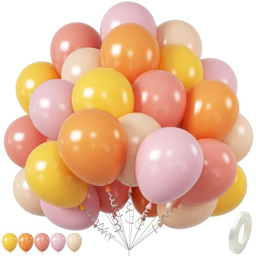 Boho Gänseblümchen Luftballons, 12 Zoll Dusty Pink Gelb Luftballons, Zitronengelb Dusty Pink Nude Braun Pastell Rosa Latex Ballon für Boho Gänseblümchen Thema Geburtstag Babyparty Hochzeit Party von Saxuxu