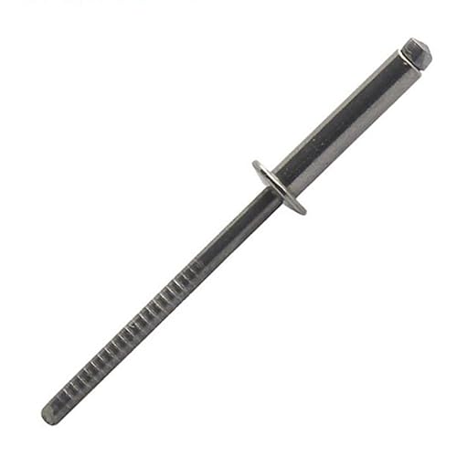 Niete, Edelstahl, A2, flacher Kopf, 4 x 8 mm, 400 Stück Scell-it von Scell-it
