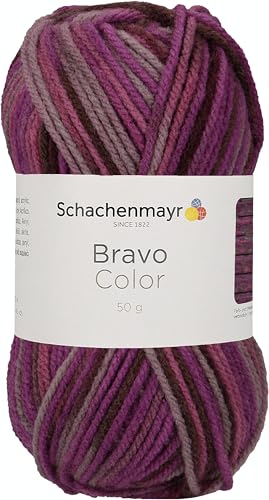 Schachenmayr Bravo Color, 50G Beere Handstrickgarne von Schachenmayr since 1822