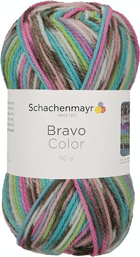 Schachenmayr Bravo Color, 50G mineral jacquard Handstrickgarne von Schachenmayr since 1822