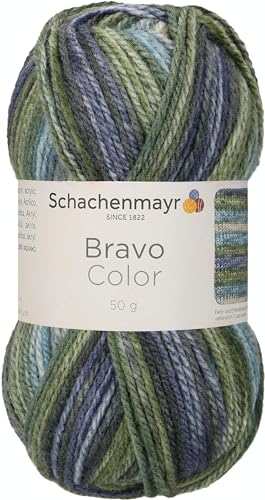 Schachenmayr Bravo Color, 50G moor Handstrickgarne von Schachenmayr since 1822