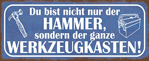 Schatzmix Spruch Du bist Hammer Metallschild 27x10 cm Wanddeko tin Sign Blechschild, Blech, Mehrfarbig von Schatzmix