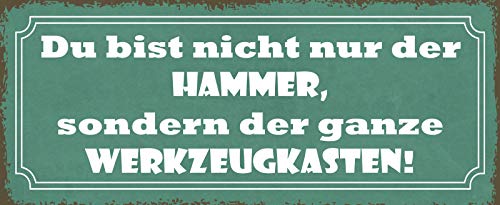 Schatzmix Spruch Du bist Nicht nur der Hammer, sondern Metallschild 27x10 Deko Blechschild, Blech, Mehrfarbig, 27x10 cm von Schatzmix