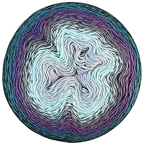 Scheepjes Whirl 1x1000m - 773 Blackcurrant Squeeze Me Garn für Häkeln und Stricken von Scheepjes