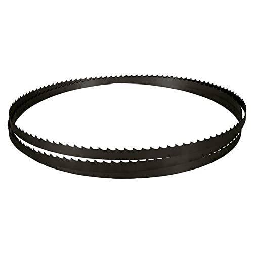 Original Scheppach Sägeband | 1400 x 6,4 x 0,35 mm | Bandsägeblatt mit 6 Zähnen pro Zoll | passend für Scheppach Bandsäge HBS30 | Ersatzsägeband Sägeblatt Original Scheppach Sägeband | 1400 x 6,4 x 0,35 mm | Bandsägeblatt mit 6 Zähnen pro Zoll | passend für Scheppach Bandsäge HBS30 | Ersatzsägeband Sägeblatt von Scheppach