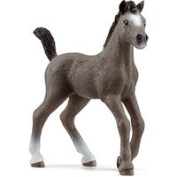 Schleich® Horse Club 13957 Cheval de Selle Francais Fohlen Spielfigur von Schleich®