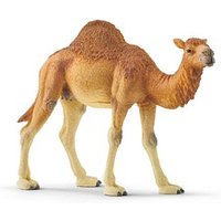 Schleich® Wild Life 14832 Dromedar Spielfigur von Schleich®
