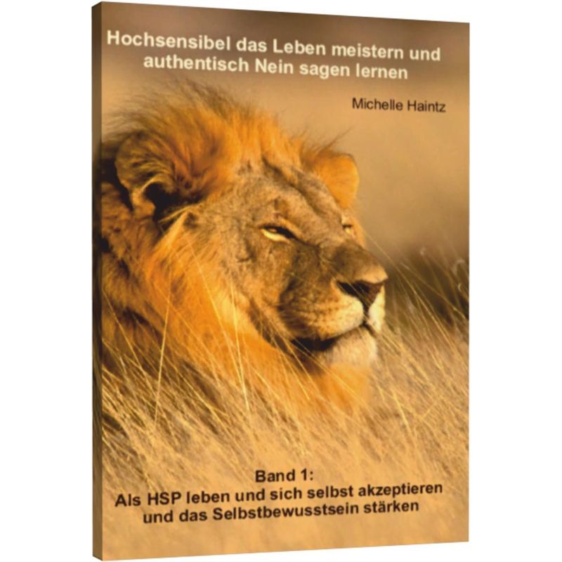 Hochsensibel Das Leben Meistern Und Authentisch "Nein" Sagen Lernen - Michelle Haintz, Kartoniert (TB) von Schlimme, Burkhard