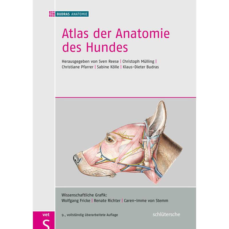 Atlas Der Anatomie Des Hundes, Gebunden von Schlütersche