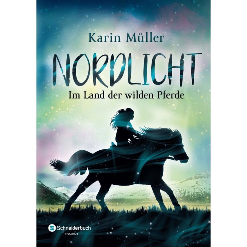 Im Land Der Wilden Pferde / Nordlicht Bd.1 - Karin Müller, Kartoniert (TB) von Schneiderbuch