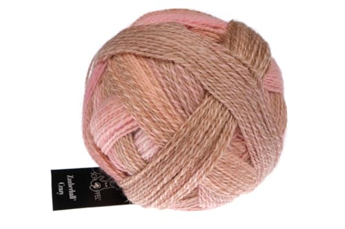 Schoppel Zauberball Crazy, Sockenwolle mit Farbverlauf, Sockengarn zum Stricken oder Häkeln, bunte Strumpfwolle, 100g, 75% Schurwolle, 25% Polyamid (2694 Vernissage) von Schoppel