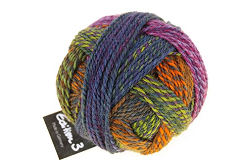Schoppel Zauberball Edition 3, Reine Merinowolle Häkelwolle Strickgarn, 100% Wolle für Nadelstärke 3 bis 3,5 mm (2328 Gartentage) von Schoppel