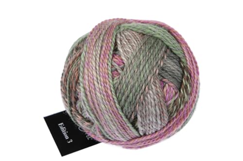 Schoppel Zauberball Edition 3, Reine Merinowolle Häkelwolle Strickgarn, 100% Wolle für Nadelstärke 3 bis 3,5 mm (2629 Aurora) von Schoppel