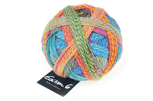 Schoppel Zauberball Edition 6, Häkelwolle Merinowolle, Farbverlaufswolle für Nadelstärke 2 bis 3 mm, 50g Strickgarn zum Stricken oder Häkeln (2296 Englischer Garten) von Schoppel