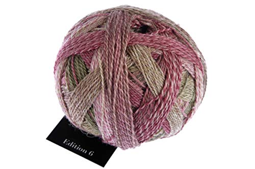 Schoppel Zauberball Edition 6, Häkelwolle Merinowolle, Farbverlaufswolle für Nadelstärke 2 bis 3 mm, 50g Strickgarn zum Stricken oder Häkeln (2442 Holzklasse) von Schoppel