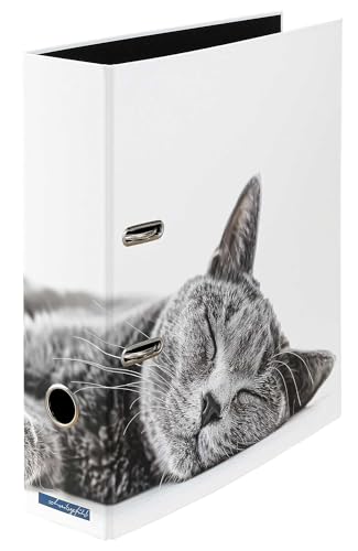 Samtpfote - Ordner Motiv Aktenordner Büro DIN A4 ca. 8 cm breit Karton Design Katze Entspannung weiß grau von Schreibgefühl